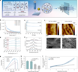 3D-Printed Living Materials Remove All Nitrogen From Wastewater