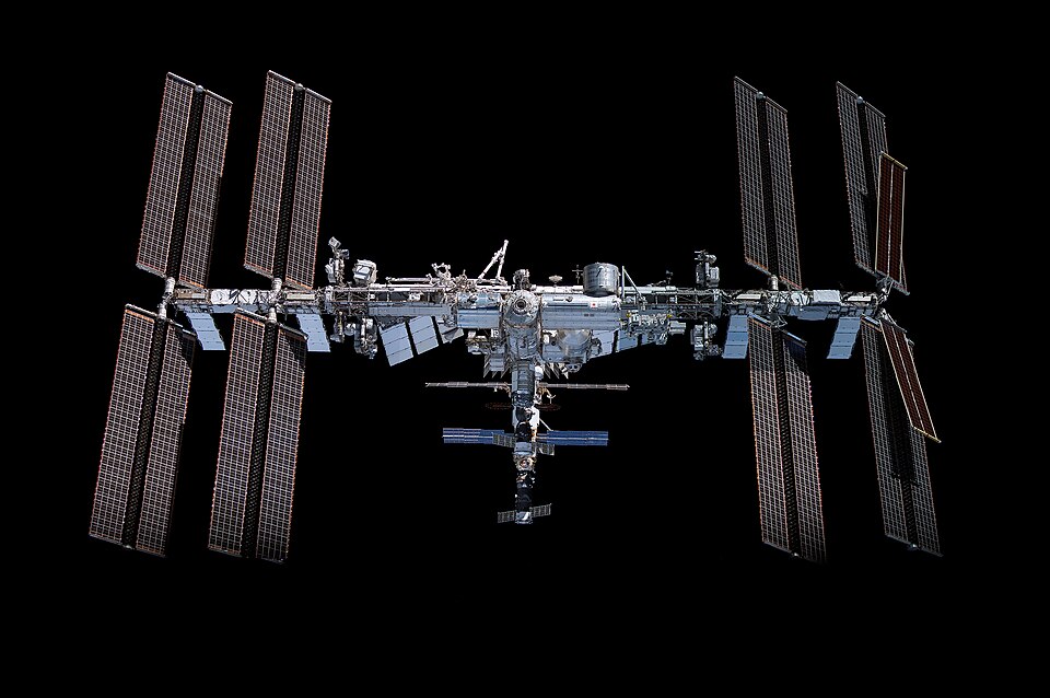 Kidney and Liver Tissue Were Bioprinted Aboard the ISS. Here Is Why It Matters