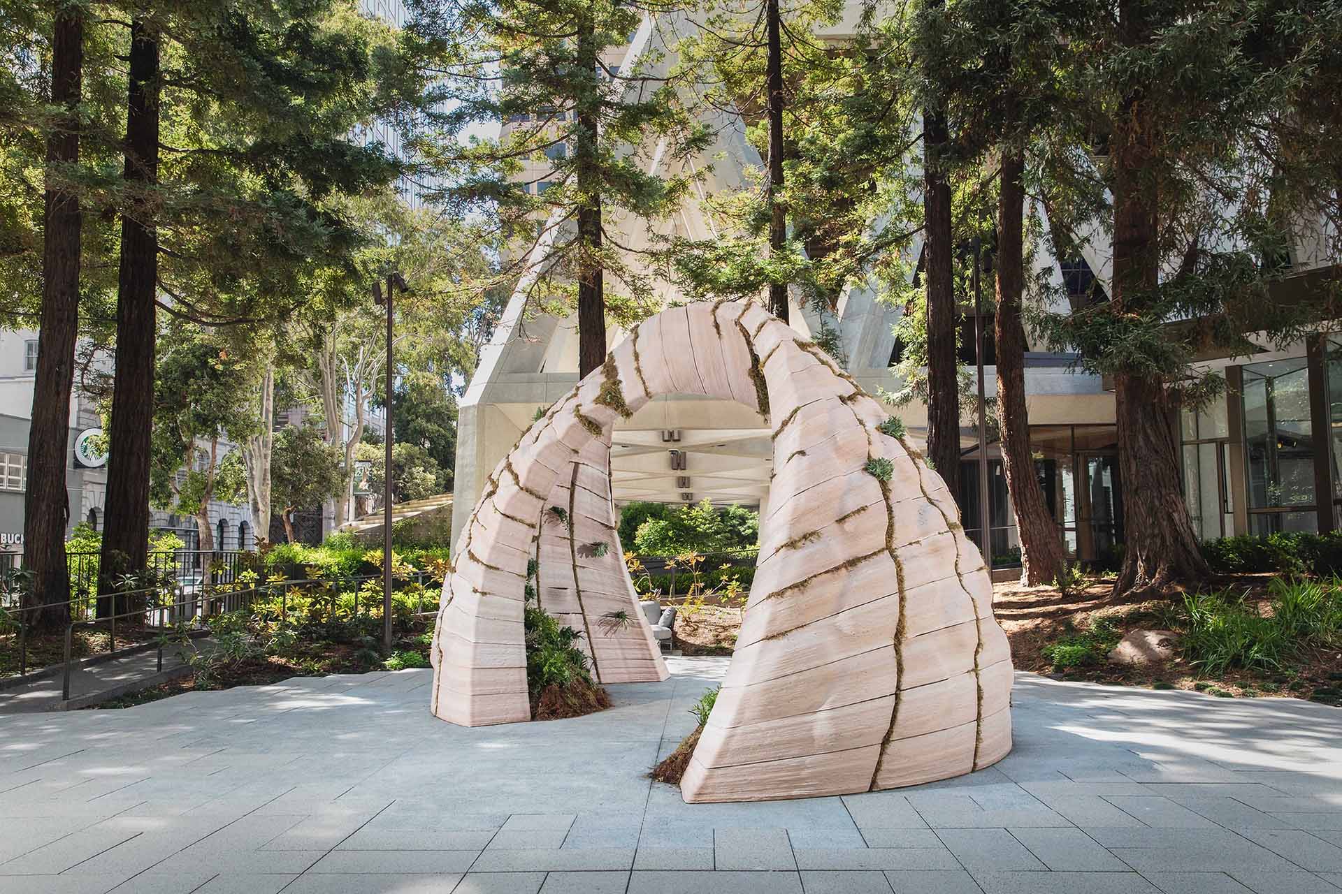 Earthseed Dome Puts 3D-Printed Living Soil in San Francisco's Transamerica Redwood Park