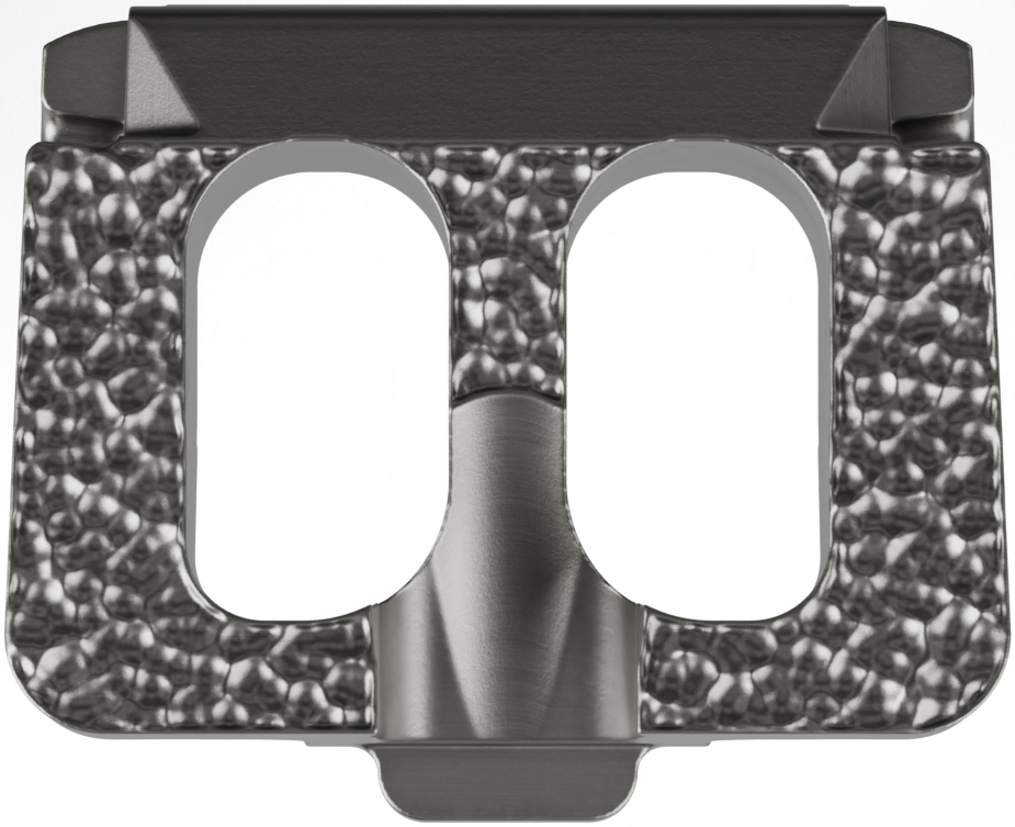 FDA Clears 3D-Printed Titanium Cervical Implant From Elevation Spine