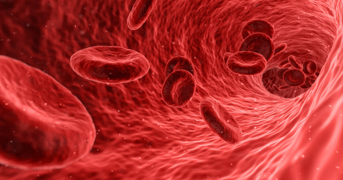 Harvard Engineers Make Custom Blood Vessel Grafts in Minutes With 3D Printing
