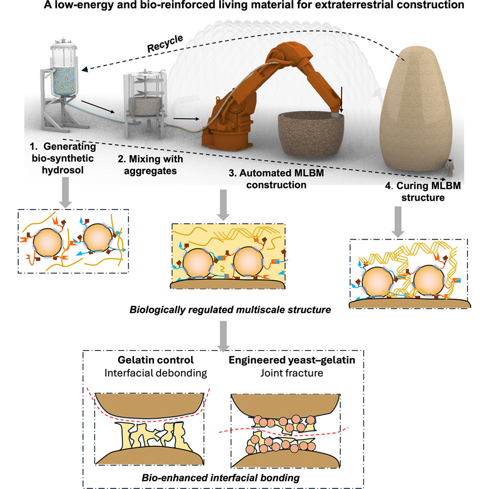 HKUST Engineers Develop Mars Building Material From Yeast and Rock Dust