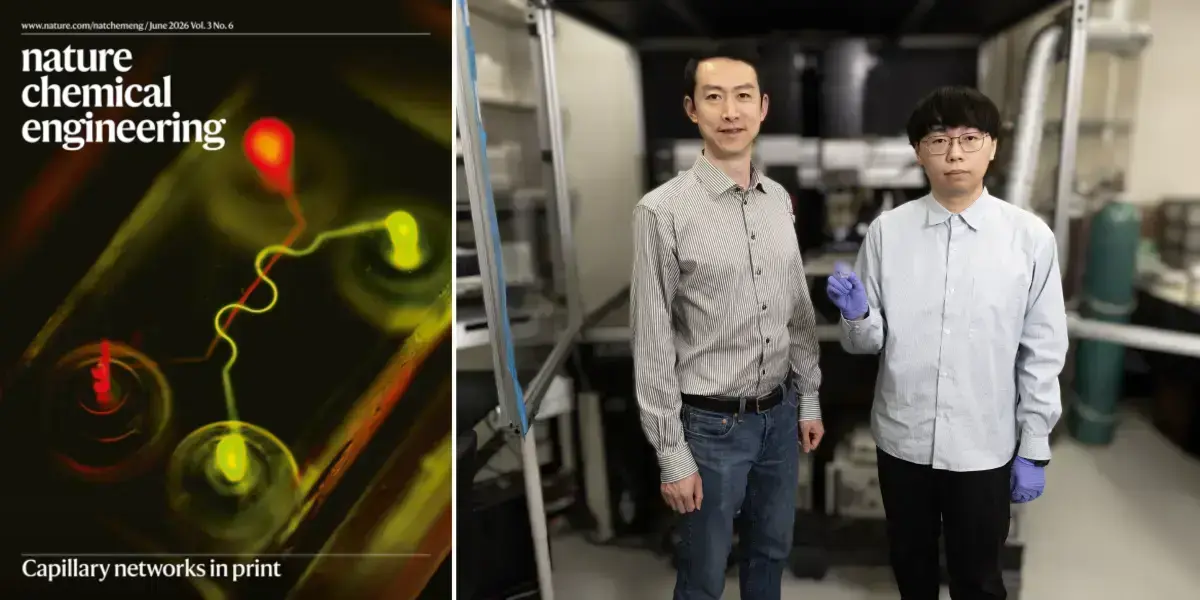 Notre Dame Team 3D-Prints Capillary Networks for Lab-Grown Tissue