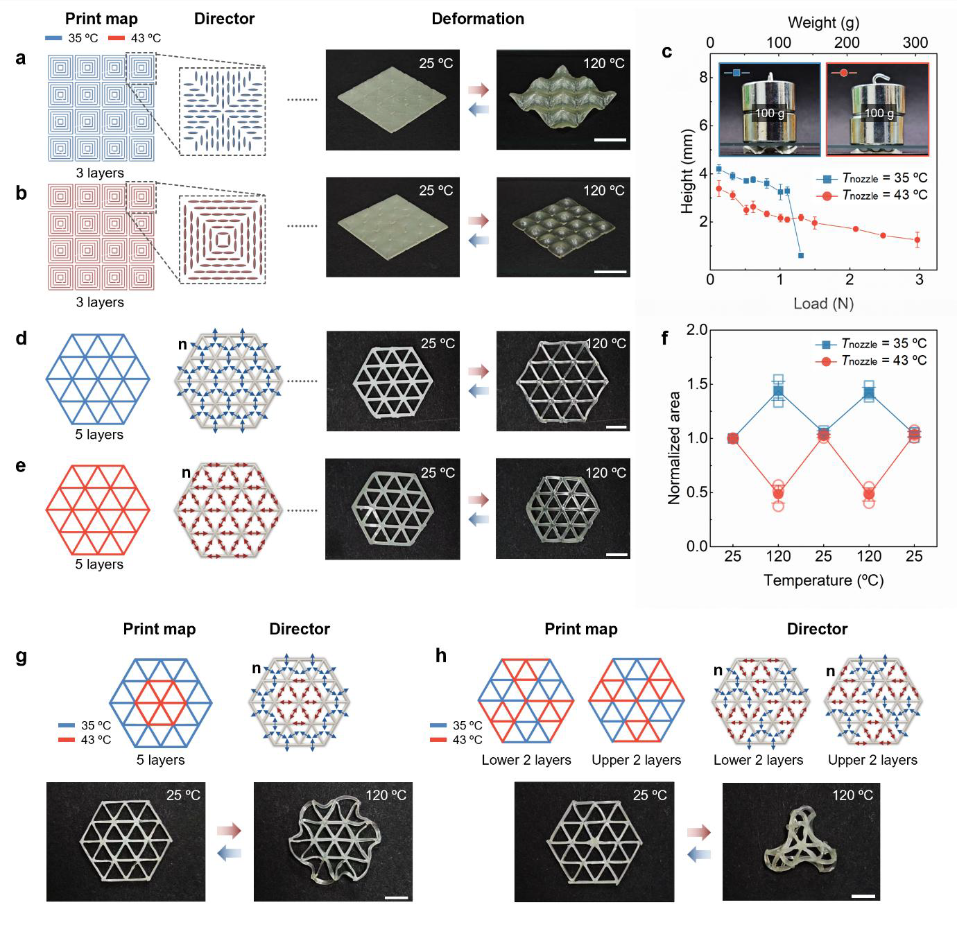 Researchers 3D Print Material That Can Stretch or Shrink on Demand