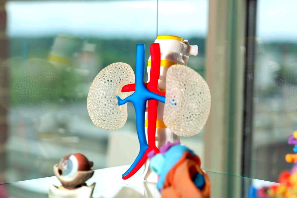 Ricoh Exits 3D Printed Medical Devices With Myrava Sale